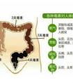 拉黑屎是怎么回事