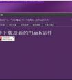 為什么我用不了flash插件?。?！