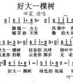 好大一棵樹歌詞