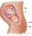 懷孕是9個月還是10個月