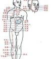 人的身體一共有多少個穴位