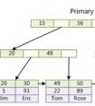 pgsql的主鍵存儲方式