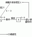 細(xì)胞外液的滲透壓主要來(lái)源于