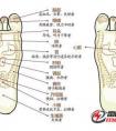 失眠易醒怎么辦？常按這5個穴位，助你快速進(jìn)入深度睡眠