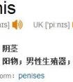 penis是什么意思?