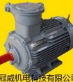 買(mǎi)氣體防爆電機(jī)，選擇什么品牌？