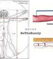 人體黃金分割比