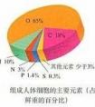 生物中干重和鮮重是什么意思？