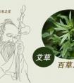 理療是啥意思