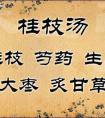 小建中湯與桂枝湯在立法、組成及功用、主治方面有何異同？