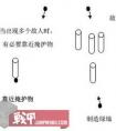 隱蔽物與掩體的區(qū)別