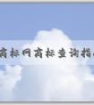 中國商標(biāo)網(wǎng)商標(biāo)查詢指南：注意事項、方法與功能