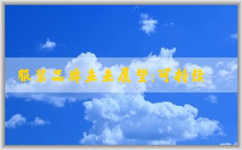 服裝品牌未來展望：可持續(xù)發(fā)展與數(shù)字化轉(zhuǎn)型規(guī)劃