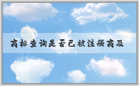 商標(biāo)查詢是否已被注冊(cè)商及其相關(guān)維度解析