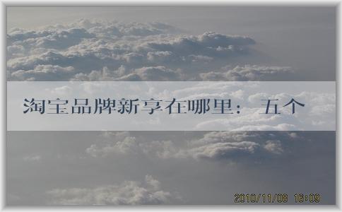 淘寶品牌新享在哪里：五個維度問題、商業(yè)價值、品牌建設(shè)及新品牌介紹